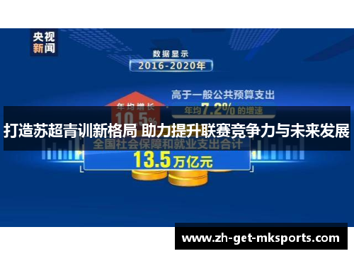 打造苏超青训新格局 助力提升联赛竞争力与未来发展